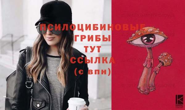 марки nbome Каменка