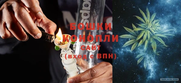 не бодяженный Иннополис